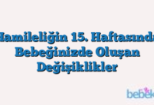 Hamileliğin 15. Haftasında Bebeğinizde Oluşan Değişiklikler