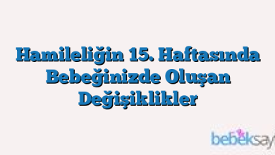 Hamileliğin 15. Haftasında Bebeğinizde Oluşan Değişiklikler