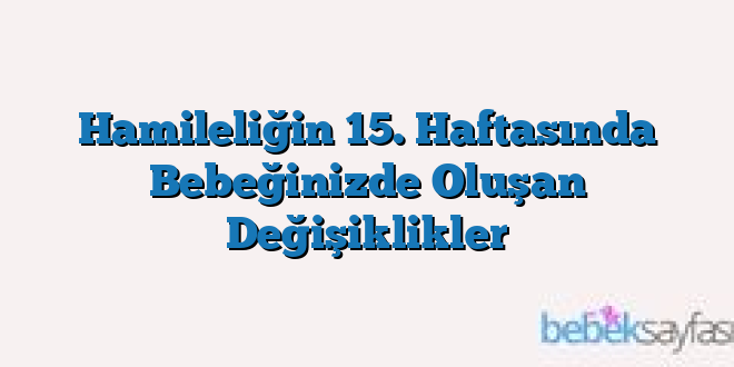 Hamileliğin 15. Haftasında Bebeğinizde Oluşan Değişiklikler