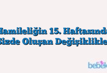 Hamileliğin 15. Haftasında Sizde Oluşan Değişiklikler