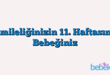 Hamileliğinizin 11. Haftasında Bebeğiniz