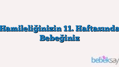 Hamileliğinizin 11. Haftasında Bebeğiniz