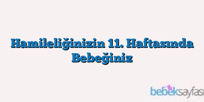 Hamileliğinizin 11. Haftasında Bebeğiniz