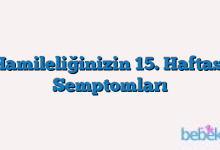 Hamileliğinizin 15. Haftası Semptomları
