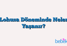 Lohusa Döneminde Neler Yaşanır?