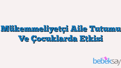 Mükemmeliyetçi Aile Tutumu Ve Çocuklarda Etkisi