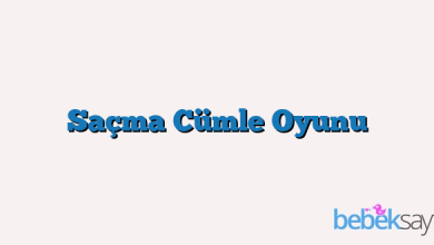 Saçma Cümle Oyunu
