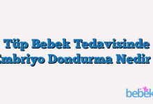 Tüp Bebek Tedavisinde Embriyo Dondurma Nedir ?