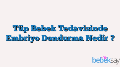 Tüp Bebek Tedavisinde Embriyo Dondurma Nedir ?