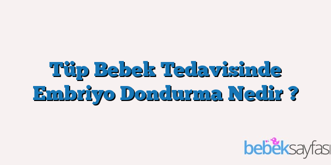 Tüp Bebek Tedavisinde Embriyo Dondurma Nedir ?