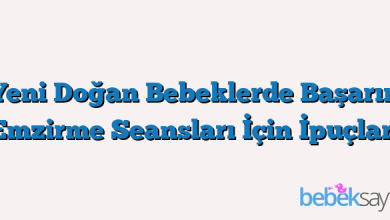 Yeni Doğan Bebeklerde Başarııı Emzirme Seansları İçin İpuçları