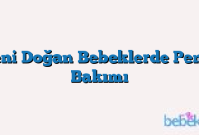 Yeni Doğan Bebeklerde Penis Bakımı