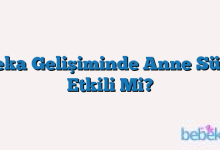 Zeka Gelişiminde Anne Sütü Etkili Mi?