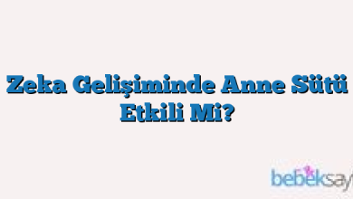 Zeka Gelişiminde Anne Sütü Etkili Mi?