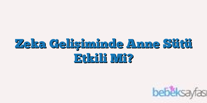 Zeka Gelişiminde Anne Sütü Etkili Mi?