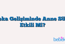 Zeka Gelişiminde Anne Sütü Etkili Mi?