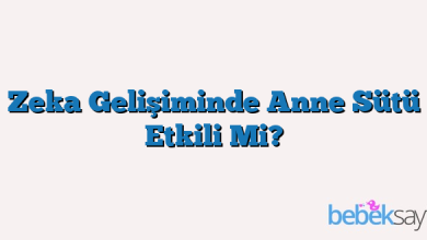 Zeka Gelişiminde Anne Sütü Etkili Mi?