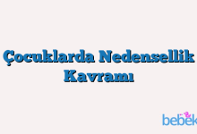 Çocuklarda Nedensellik Kavramı