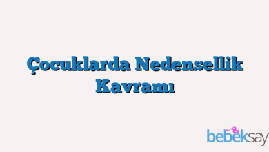 Çocuklarda Nedensellik Kavramı