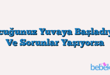 Çocuğunuz Yuvaya Başladıysa Ve Sorunlar Yaşıyorsa