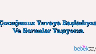 Çocuğunuz Yuvaya Başladıysa Ve Sorunlar Yaşıyorsa