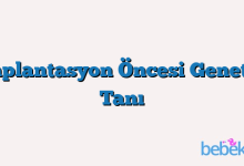 İmplantasyon Öncesi Genetik Tanı
