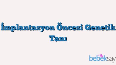 İmplantasyon Öncesi Genetik Tanı
