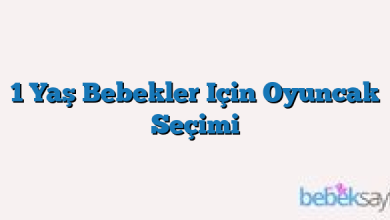 1 Yaş Bebekler Için Oyuncak Seçimi
