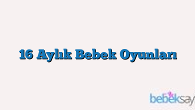 16 Aylık Bebek Oyunları