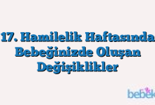 17. Hamilelik Haftasında Bebeğinizde Oluşan Değişiklikler