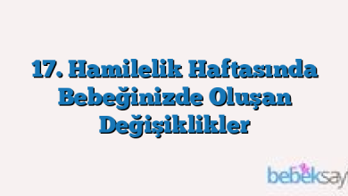 17. Hamilelik Haftasında Bebeğinizde Oluşan Değişiklikler