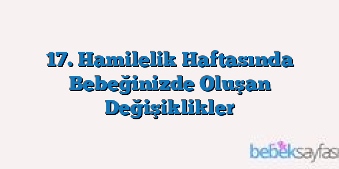 17. Hamilelik Haftasında Bebeğinizde Oluşan Değişiklikler