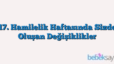 17. Hamilelik Haftasında Sizde Oluşan Değişiklikler