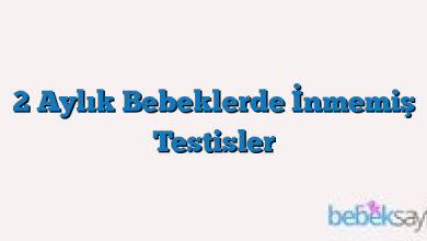 2 Aylık Bebeklerde İnmemiş Testisler