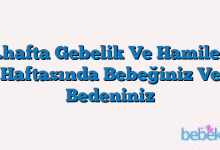 20.hafta Gebelik Ve Hamilelik Haftasında Bebeğiniz Ve Bedeniniz