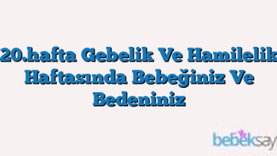 20.hafta Gebelik Ve Hamilelik Haftasında Bebeğiniz Ve Bedeniniz