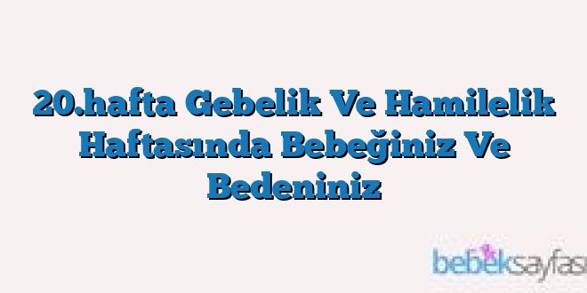 20.hafta Gebelik Ve Hamilelik Haftasında Bebeğiniz Ve Bedeniniz