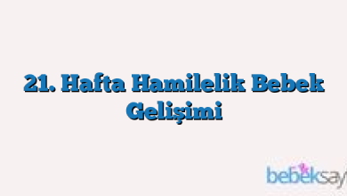 21. Hafta Hamilelik Bebek Gelişimi