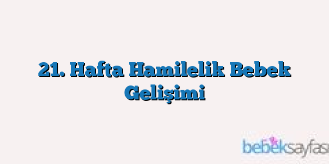 21. Hafta Hamilelik Bebek Gelişimi
