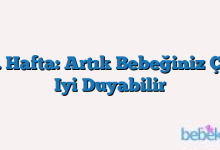 22. Hafta: Artık Bebeğiniz Çok Iyi Duyabilir