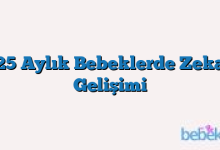 25 Aylık Bebeklerde Zeka Gelişimi