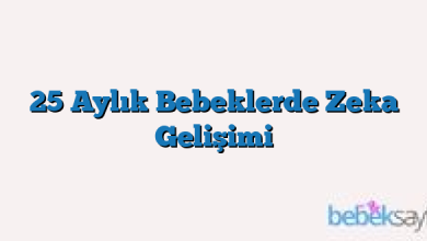 25 Aylık Bebeklerde Zeka Gelişimi