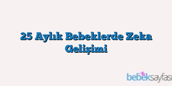 25 Aylık Bebeklerde Zeka Gelişimi