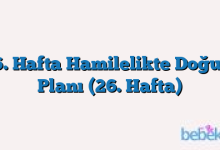 26. Hafta Hamilelikte Doğum Planı (26. Hafta)