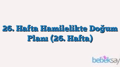 26. Hafta Hamilelikte Doğum Planı (26. Hafta)