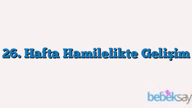 26. Hafta Hamilelikte Gelişim