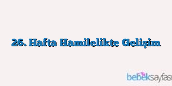 26. Hafta Hamilelikte Gelişim