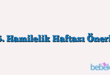 26. Hamilelik Haftası Önerisi