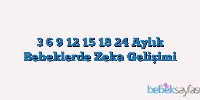 3 6 9 12 15 18 24 Aylık Bebeklerde Zeka Gelişimi