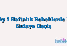 6 Ay 1 Haftalık Bebeklerde Ek Gıdaya Geçiş